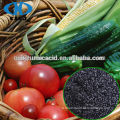 Shandong Chuangxin Humic Acid Technology Co., Ltd.